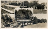 Greetings from Treetops Holiday Camp near Guildford, Frith postcard GLD119 circa 1955